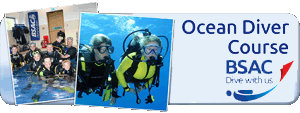 Ocean Diver Course