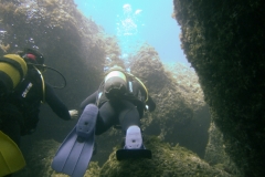 Diving Menorca July 2018